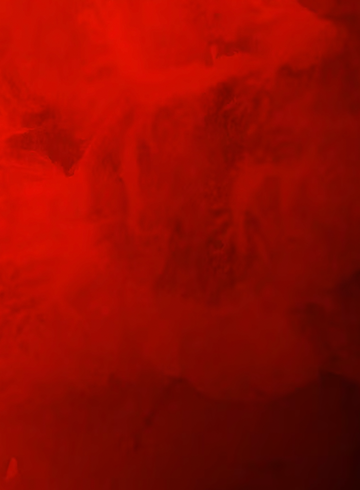 testprodukt rot